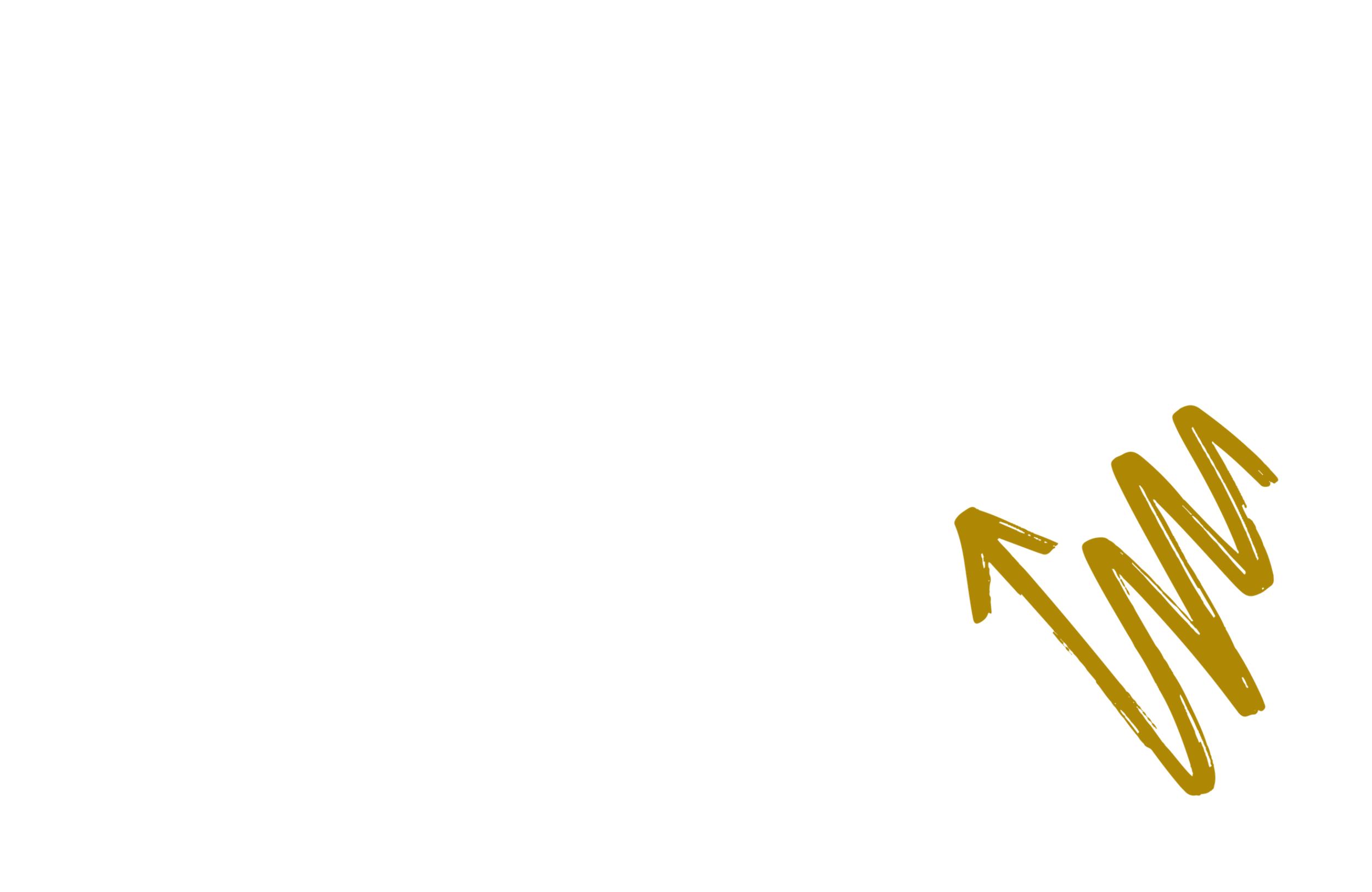 BBF website - homepage banner (1).png