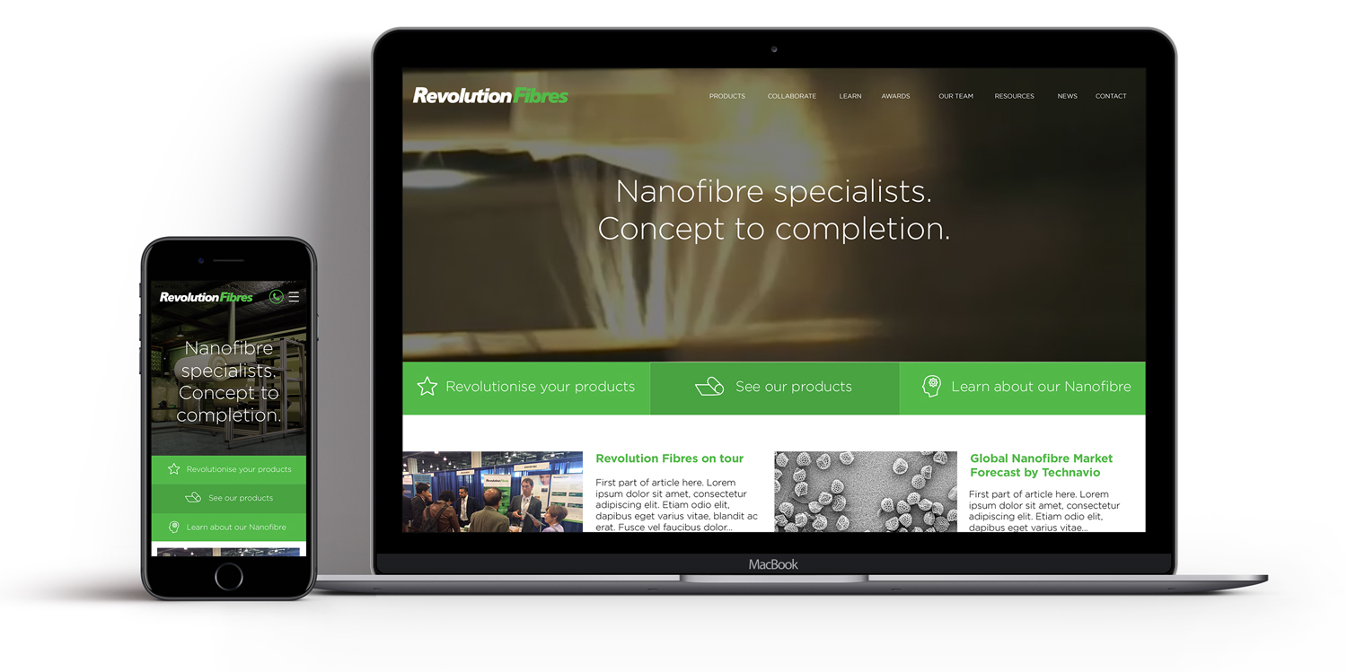 Web-Showcase-Project-Presentation.jpg