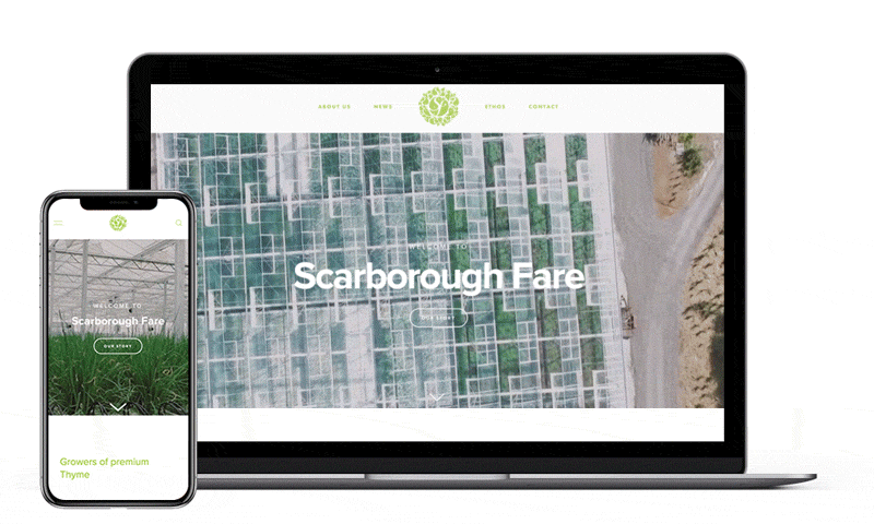 Background-video-banner-mockup-2.gif