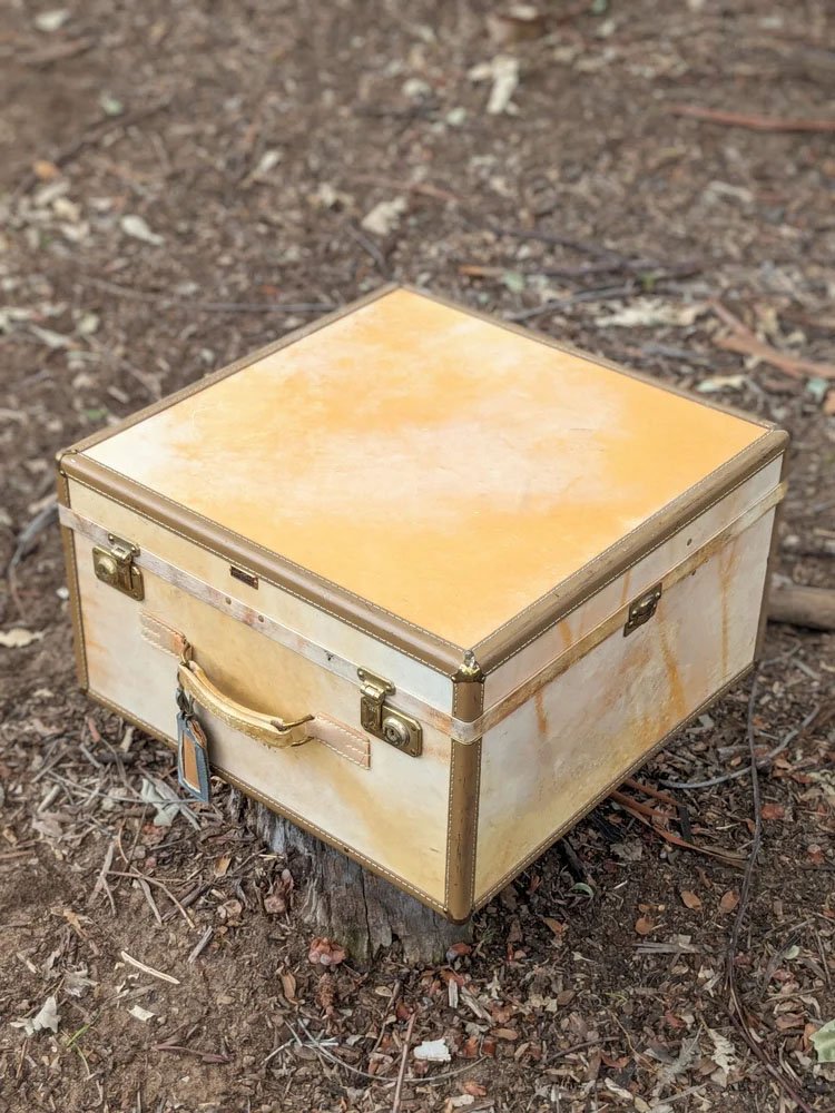 Aucoin Hartmann Case