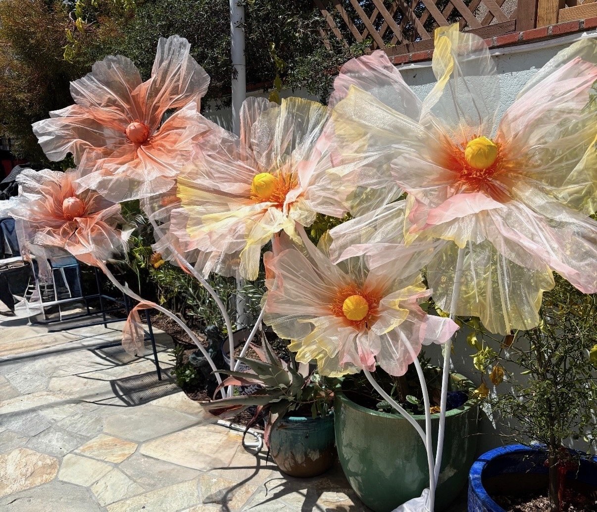 large-blooms-2.jpeg
