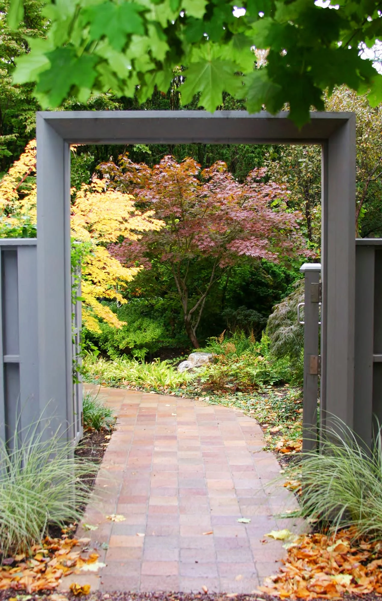 Thomas Wirth Associates garden design at Brattle Street