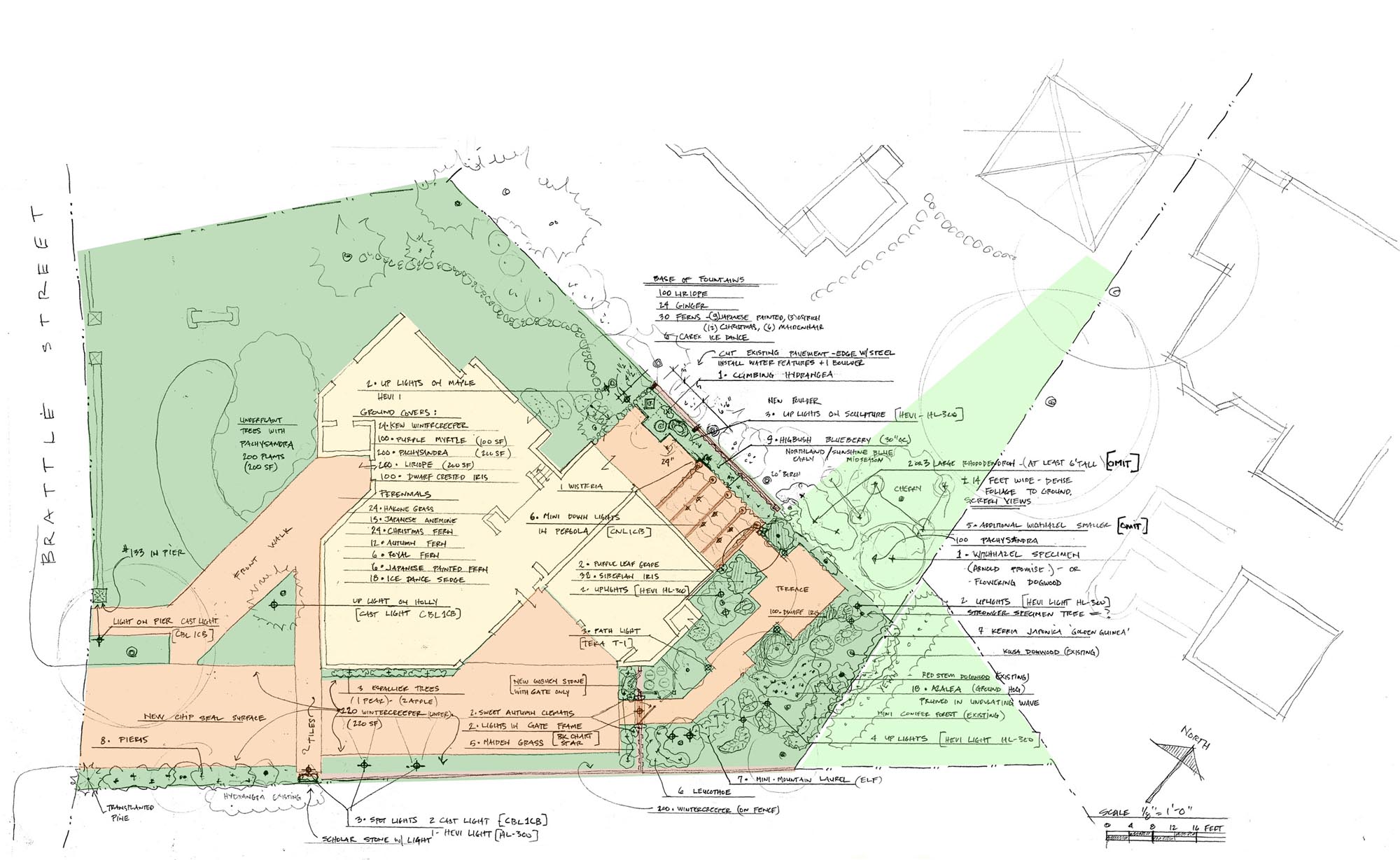 Thomas Wirth Associates garden design at Brattle Street