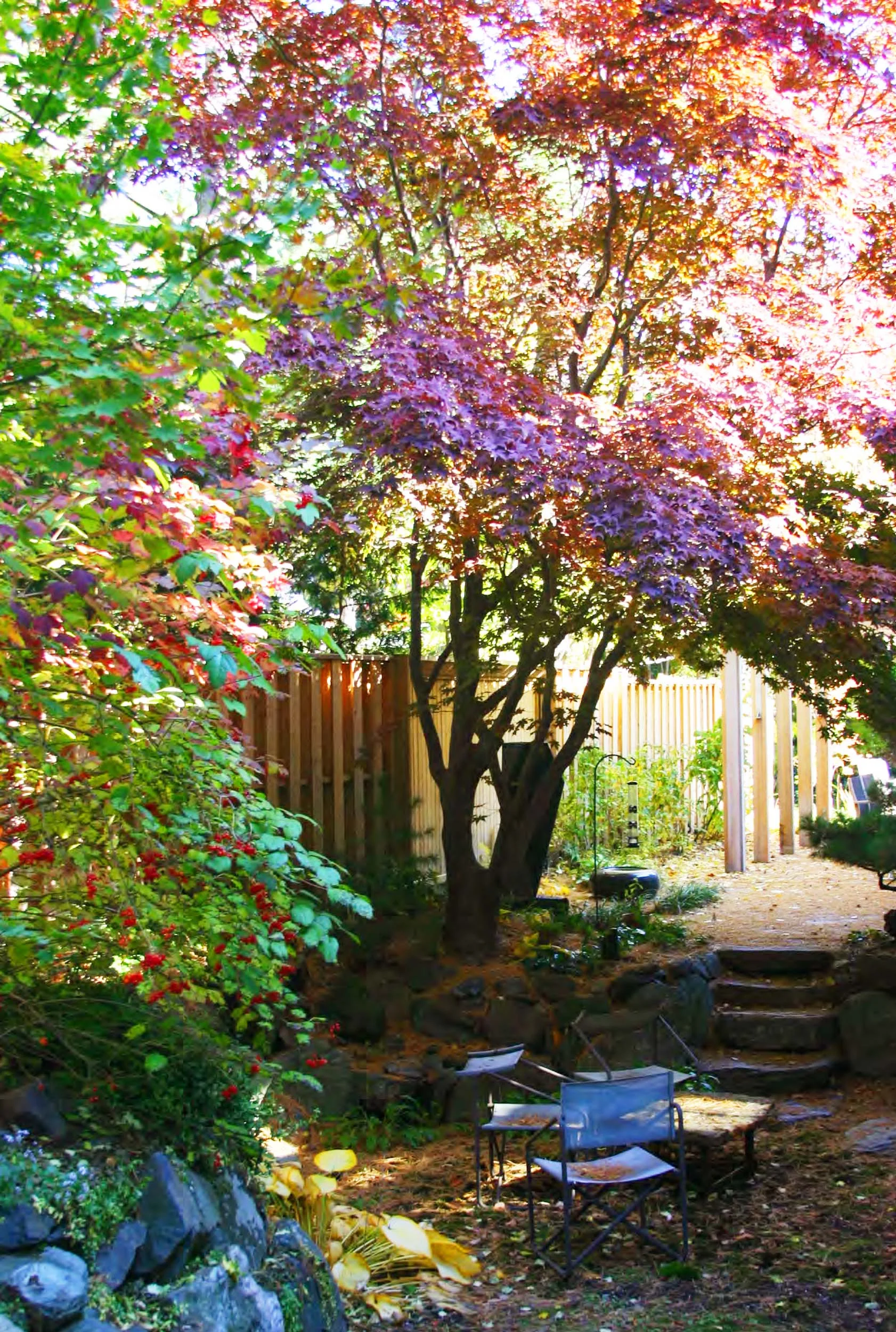 Thomas Wirth Associates garden design at Brattle Street