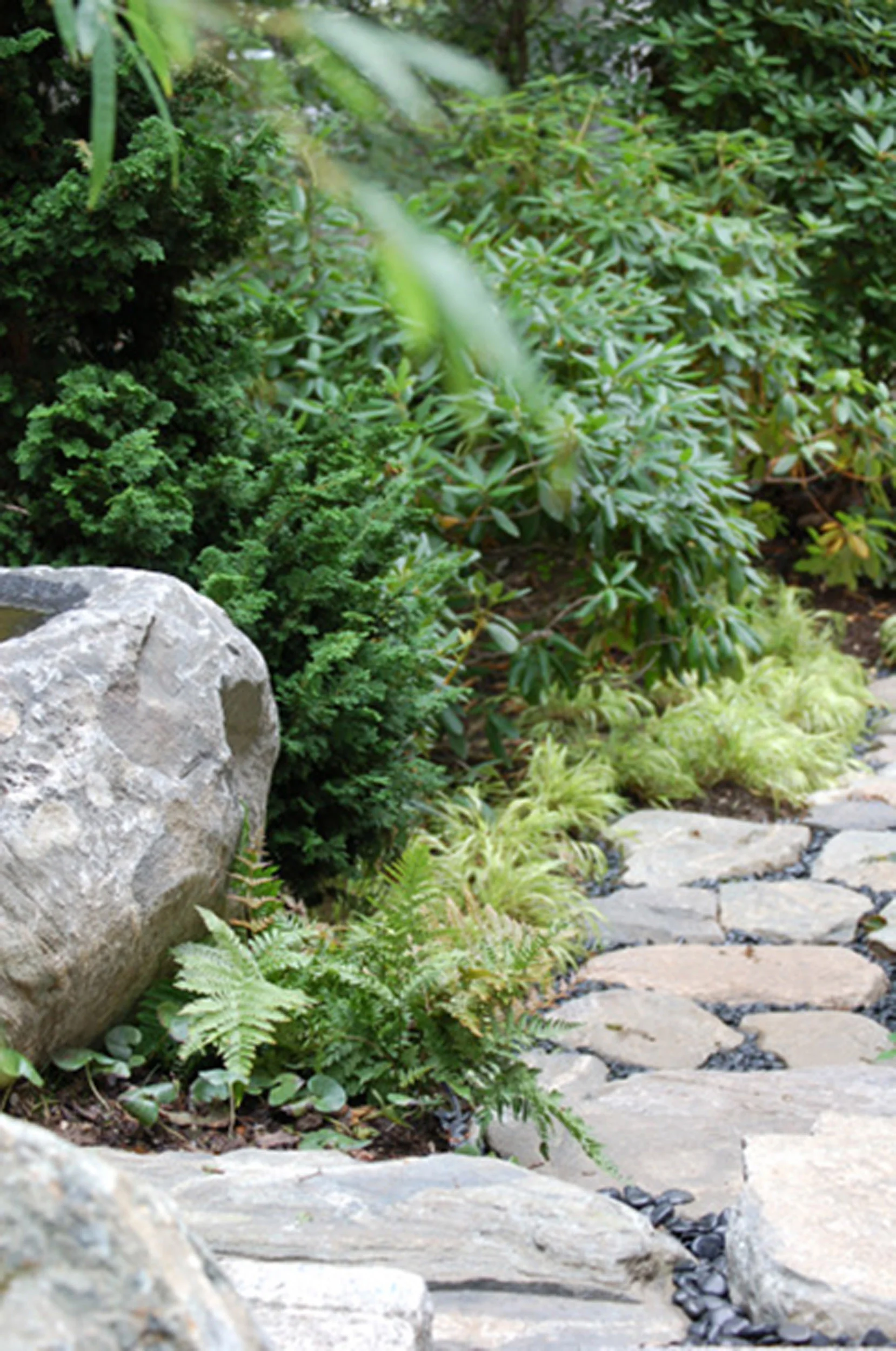 Garden Design Private Residence Newton