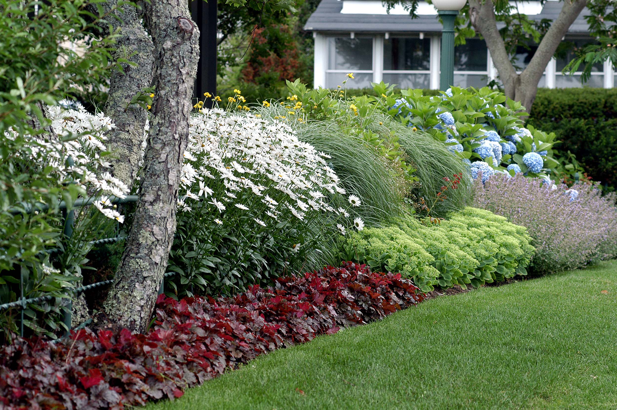 Landscape Architects and Designers Martha's Vineyard