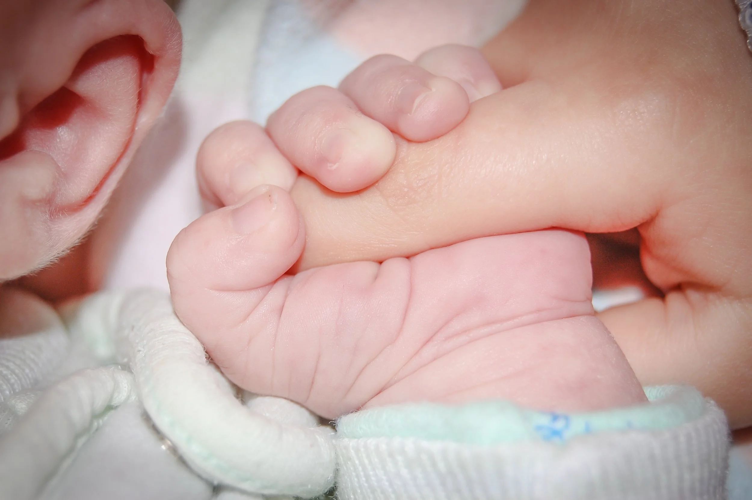 baby-handle-tiny-father-51966.jpg