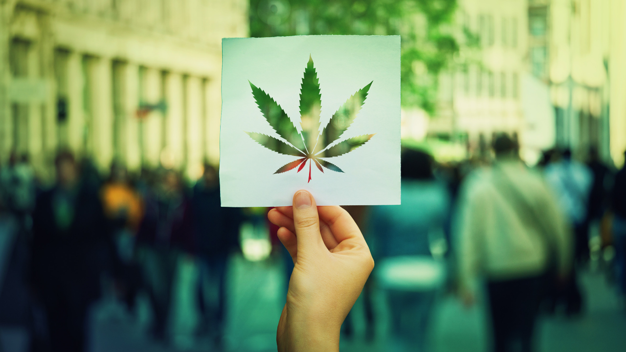 cannabis-advertising-tips.png