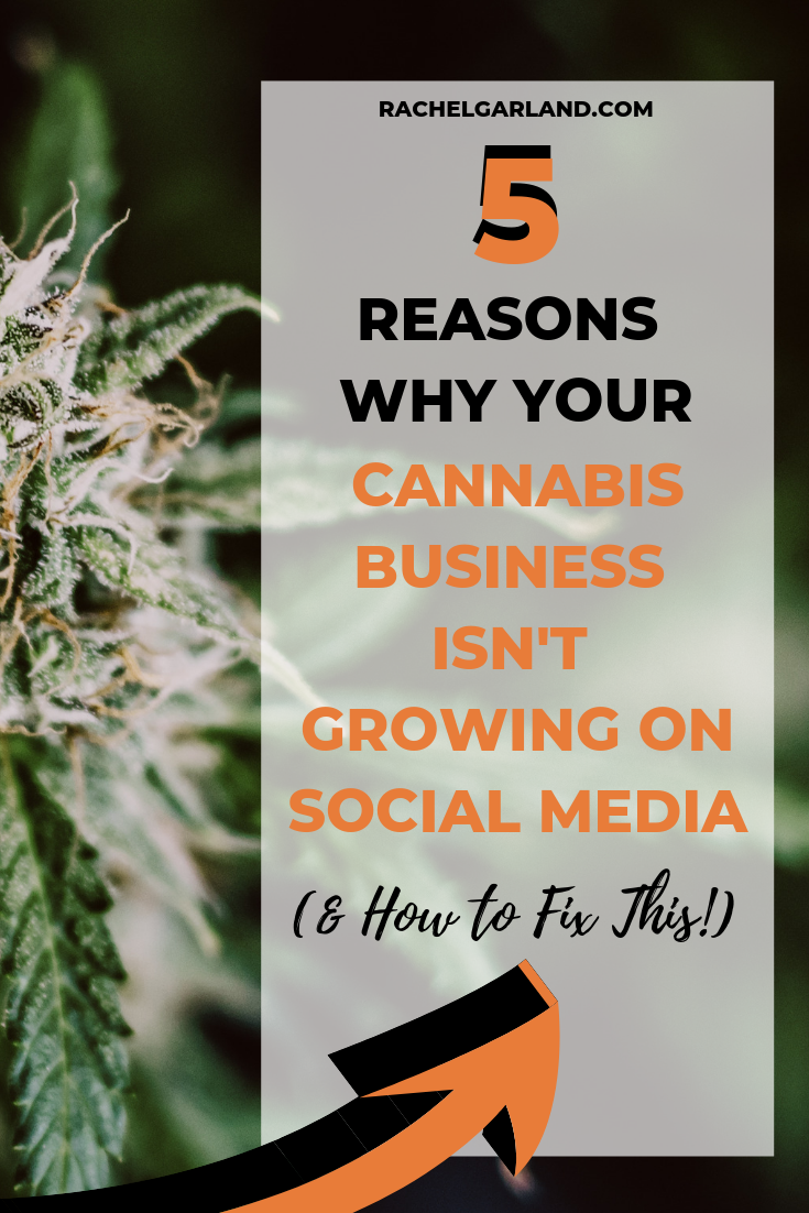 cannabis-social-media-tips).png