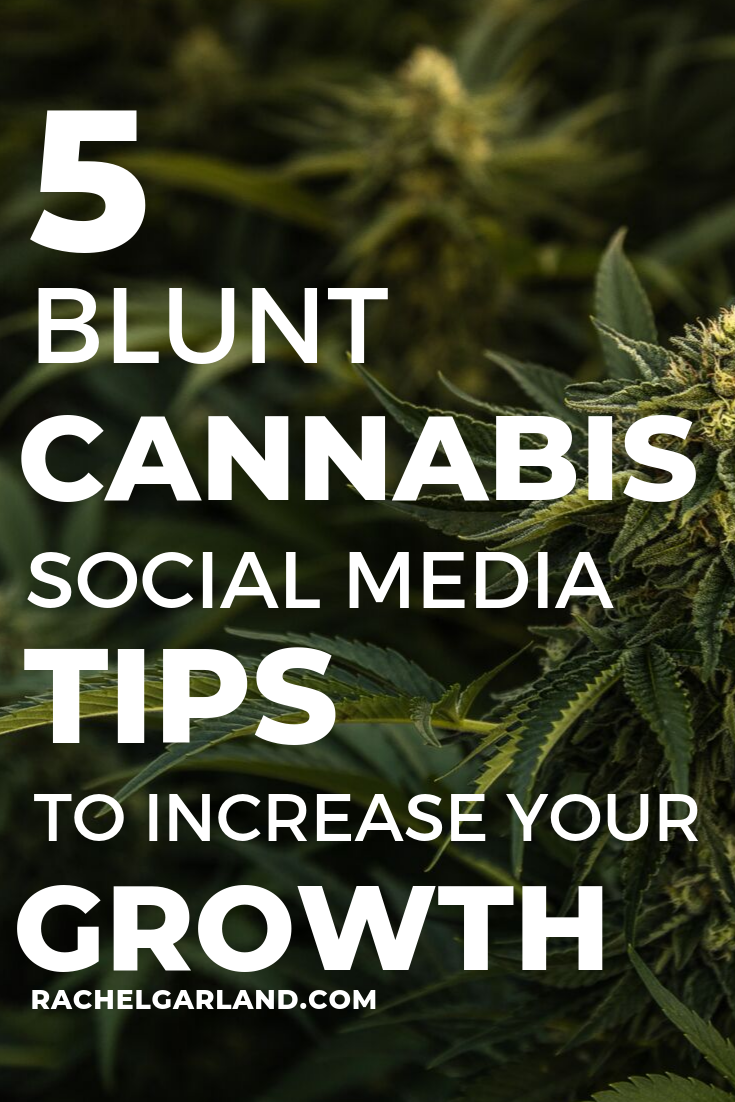 blunt-cannabis-social-media-tips.png