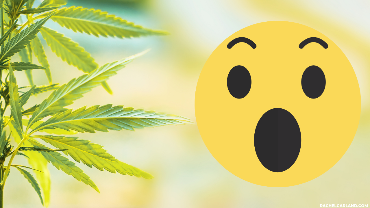 cbd-facebook-marketing-tips.png