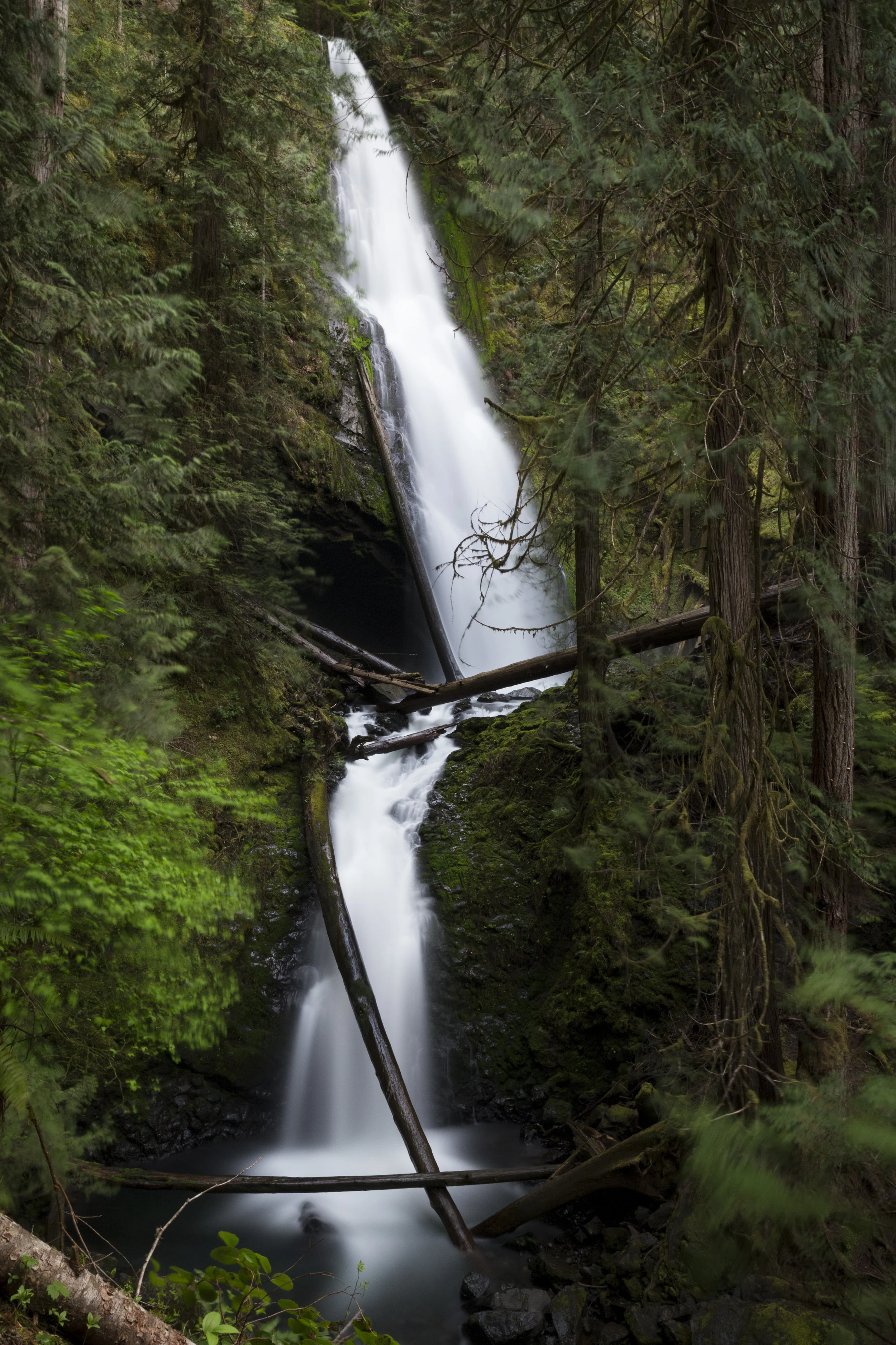 IMG_2059-2.jpg