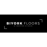 logo-vinyl_biyork.png