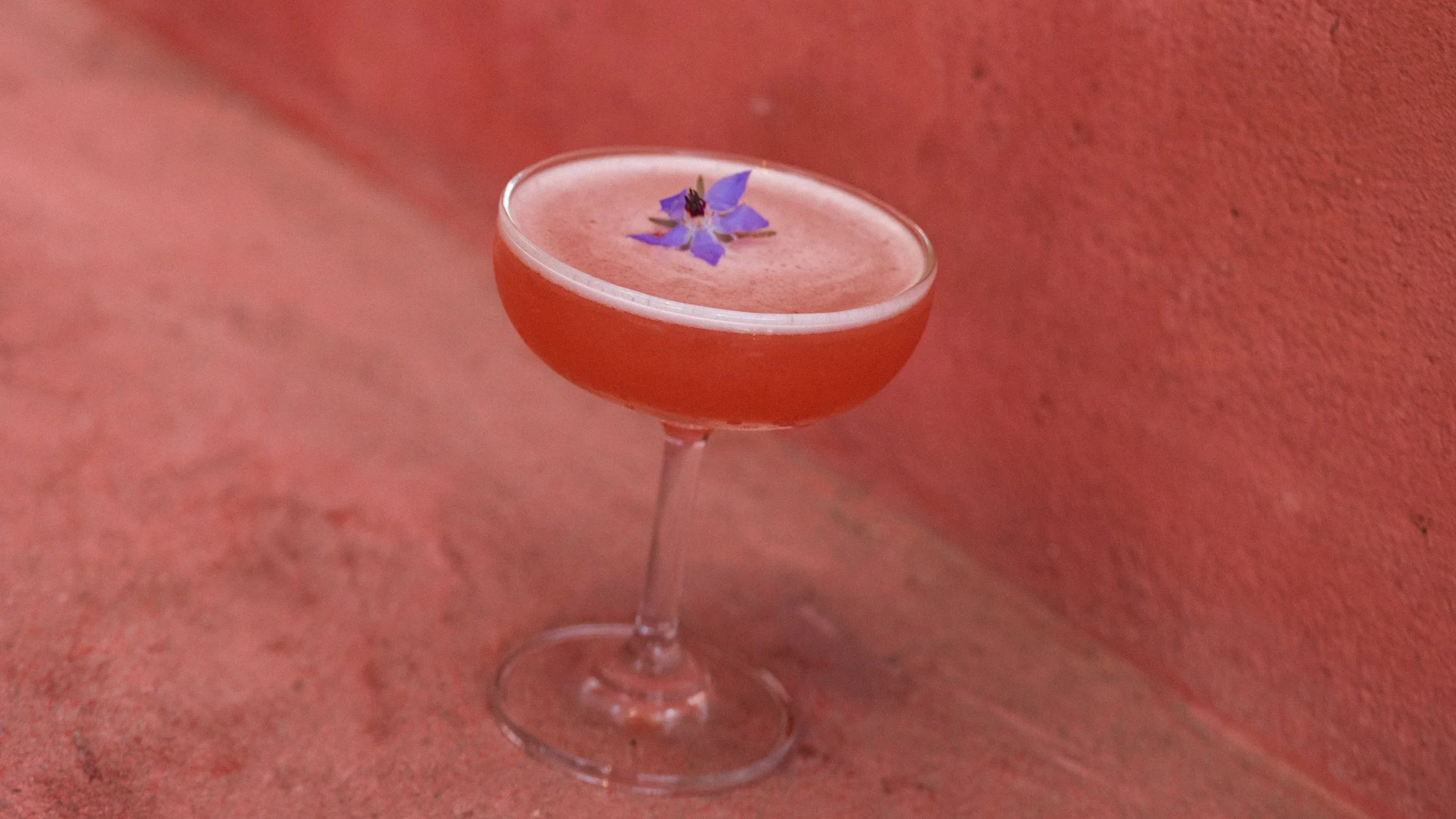 The perfect pour. Signature craft cocktails and seasonal aperitifs are shaken daily behind the bar at Great White Restaurant Venice.