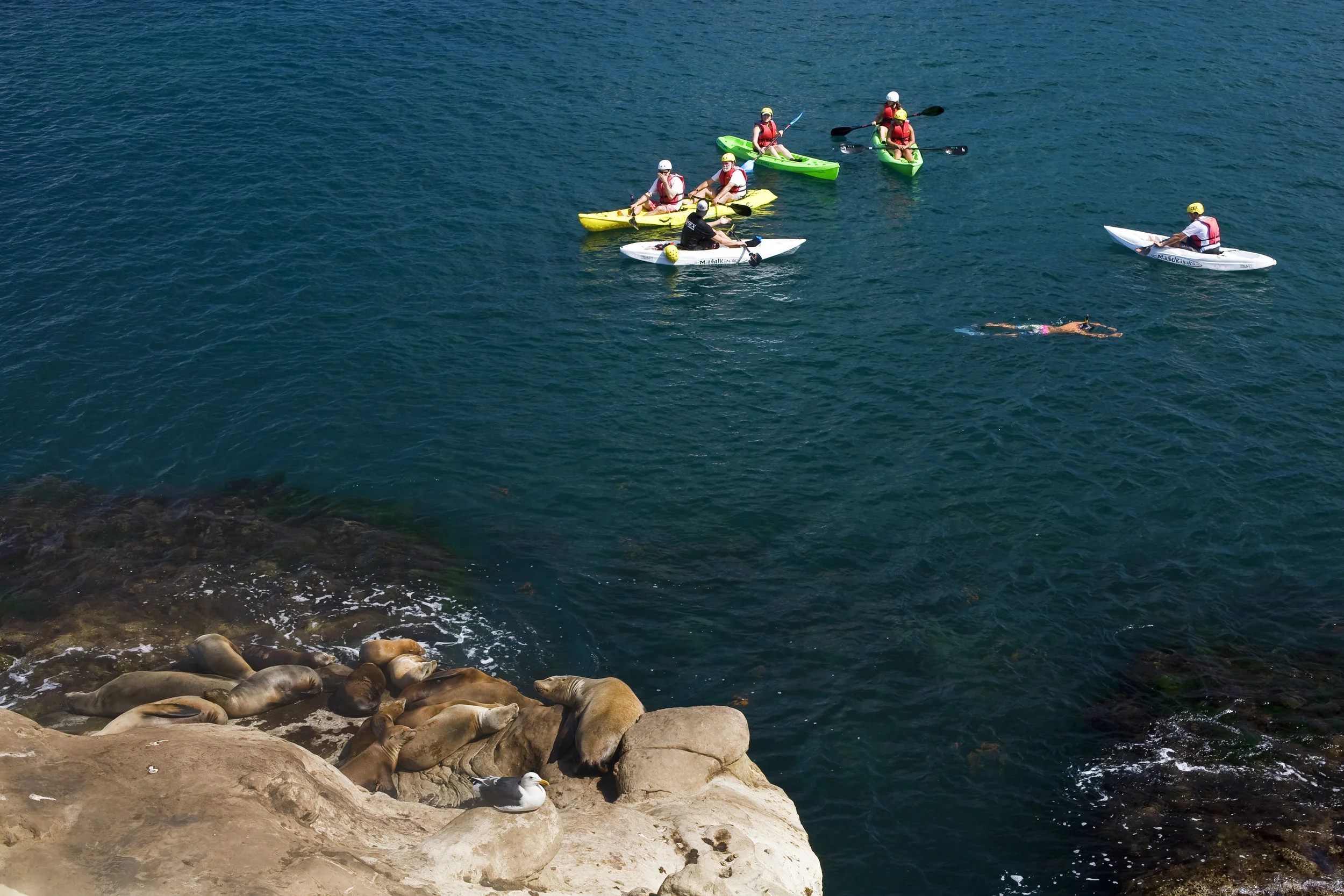 La Jolla Cove, California, October 2009