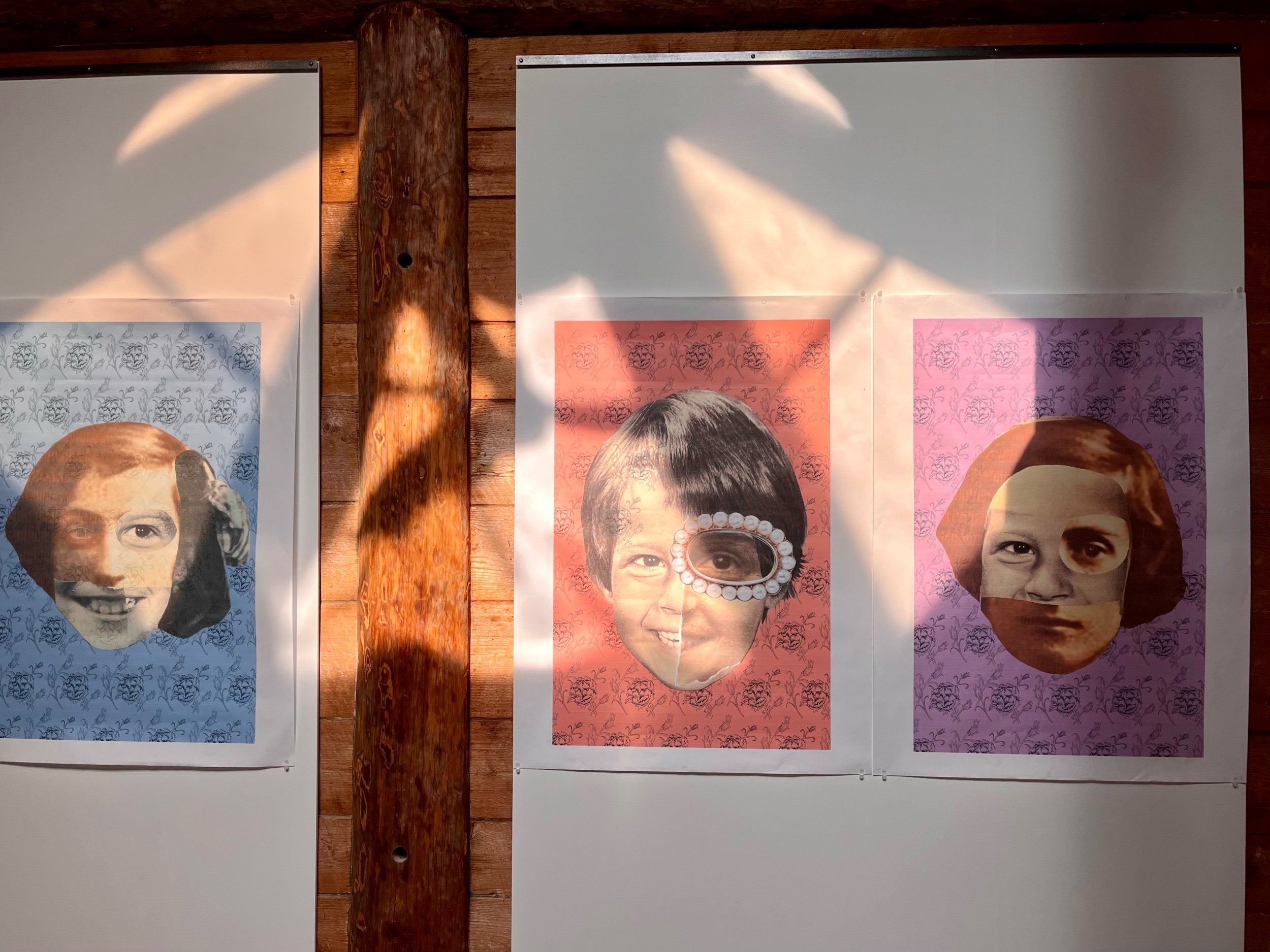 Sunshine Coast Arts Council