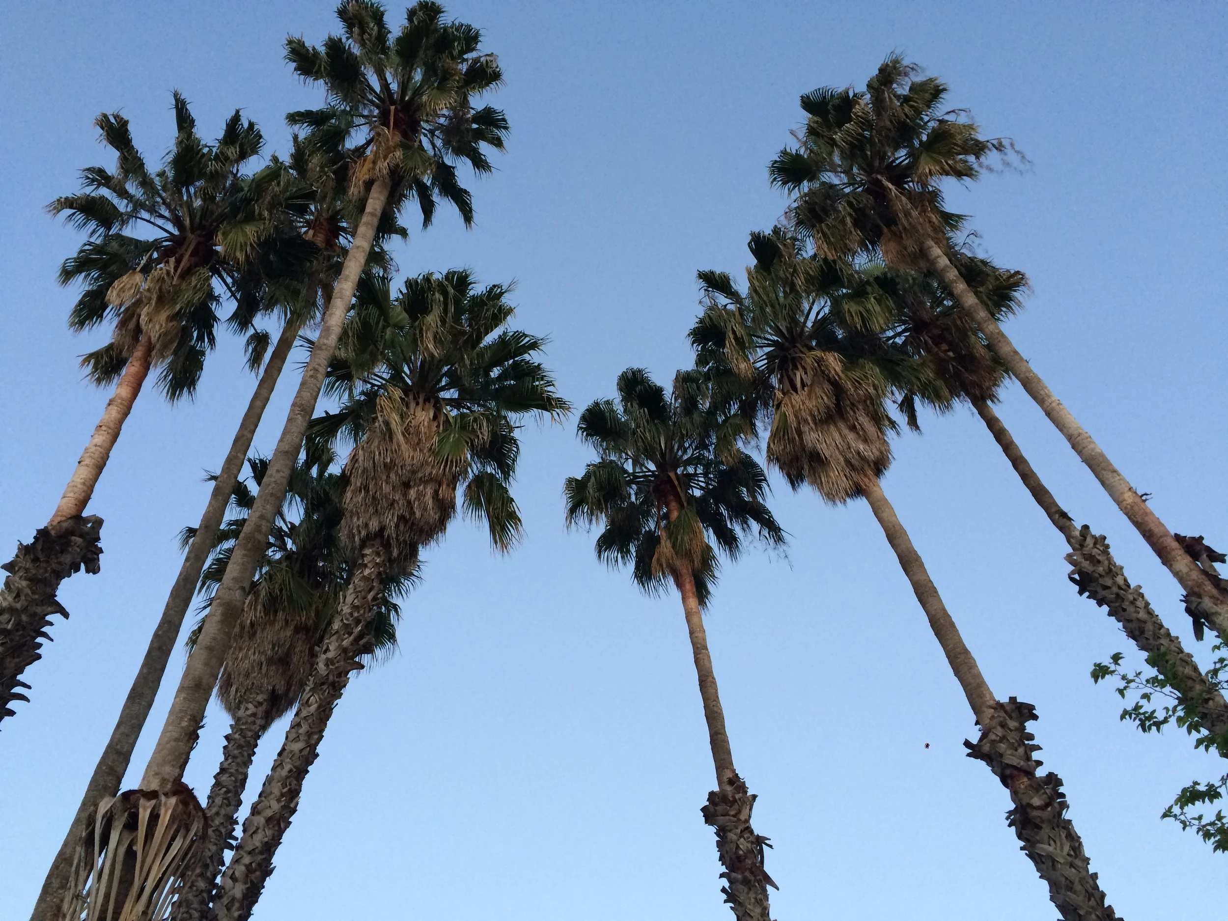 Drug-Free Natural Conscious Dying