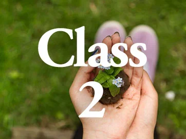 Introduction to Daoist Medicine (Class 2 - No CEU Credit)