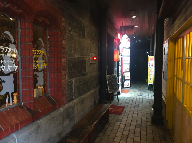 Otaru street