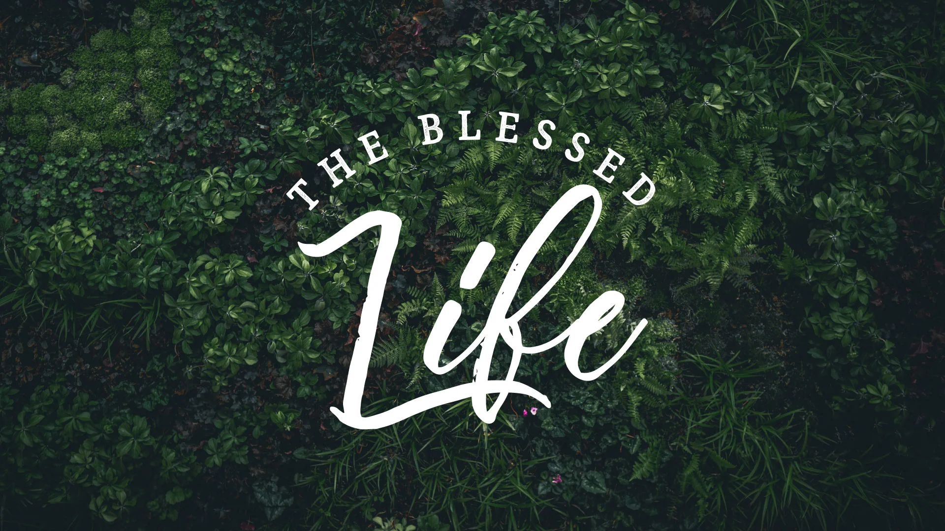 The Blessed Life