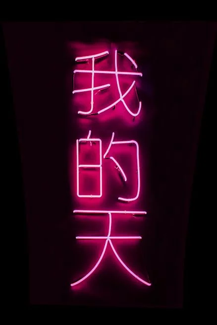 OMG , Neon, 20" x 64", 2015