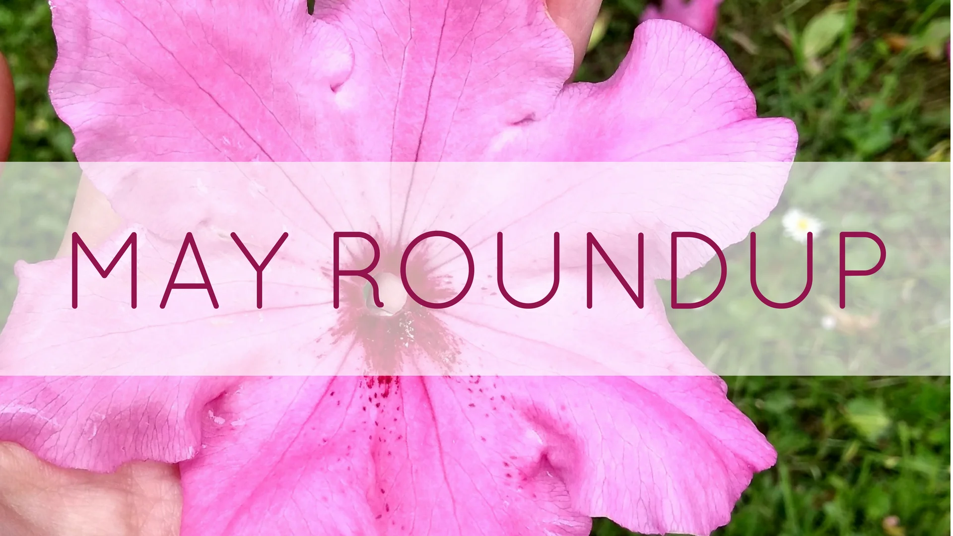 Add May Roundup.jpg