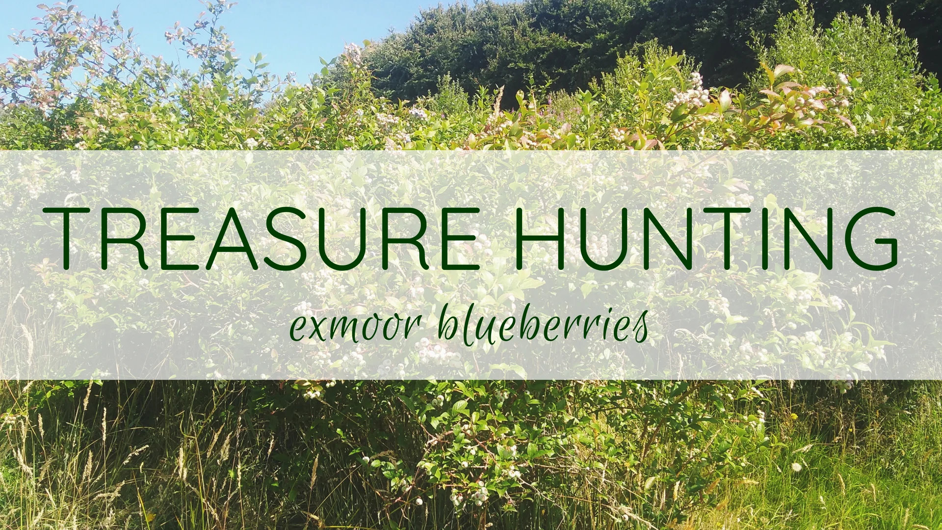 Treasure Hunting.jpg