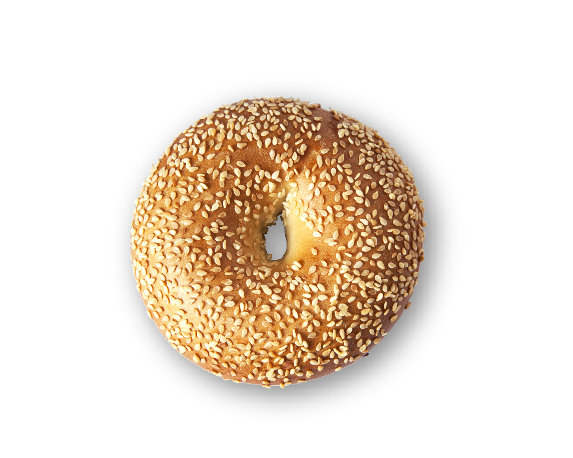 sesame bagel.png