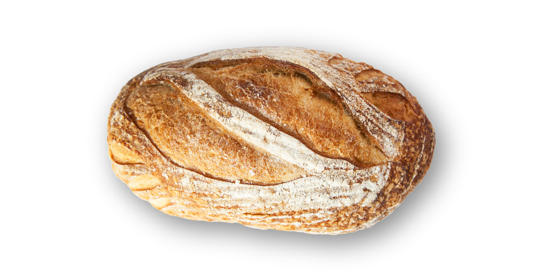 fin sourdough.png