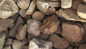 Walnut Nuggets