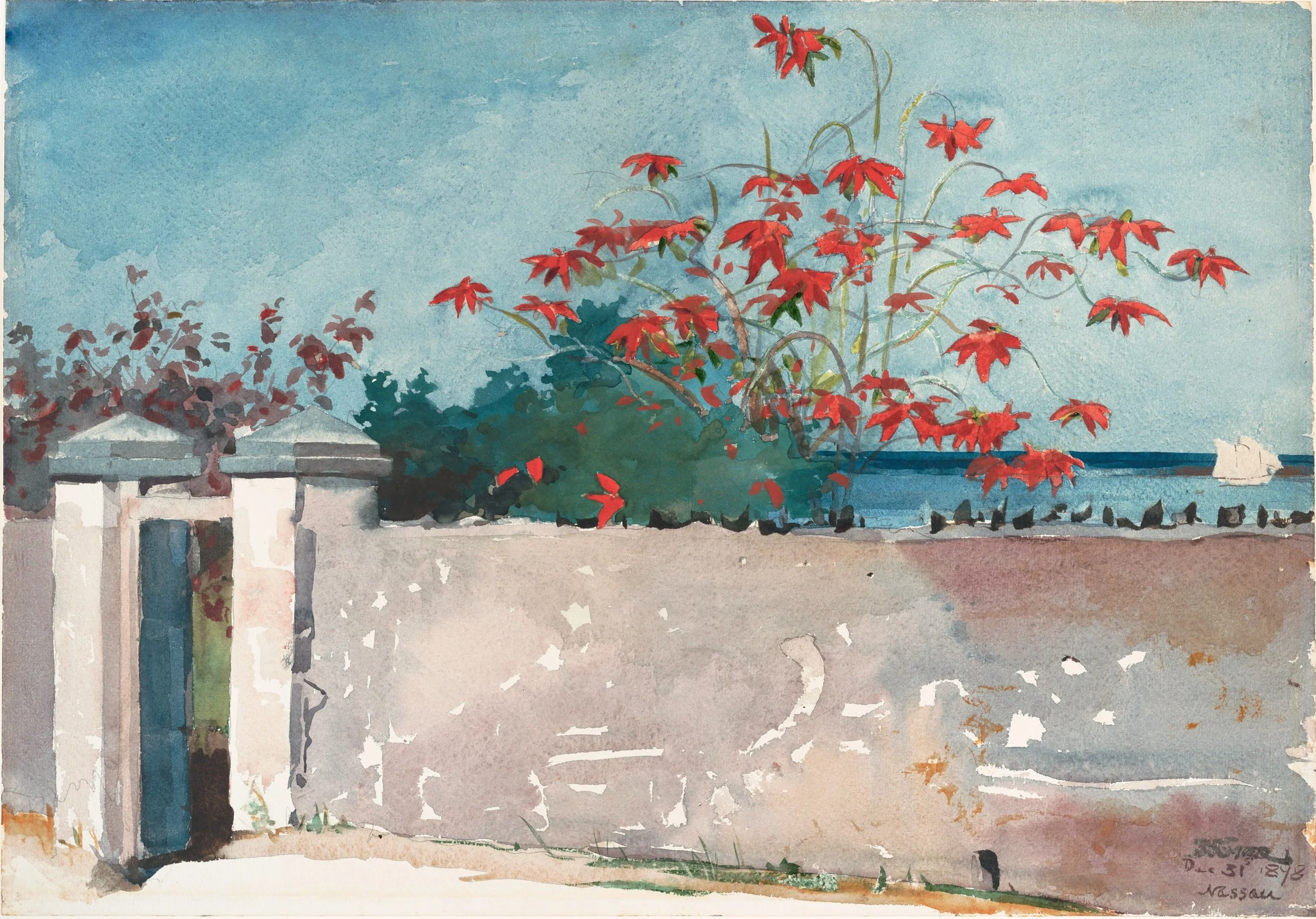 Winslow_Homer_-_A_Wall,_Nassau.jpg
