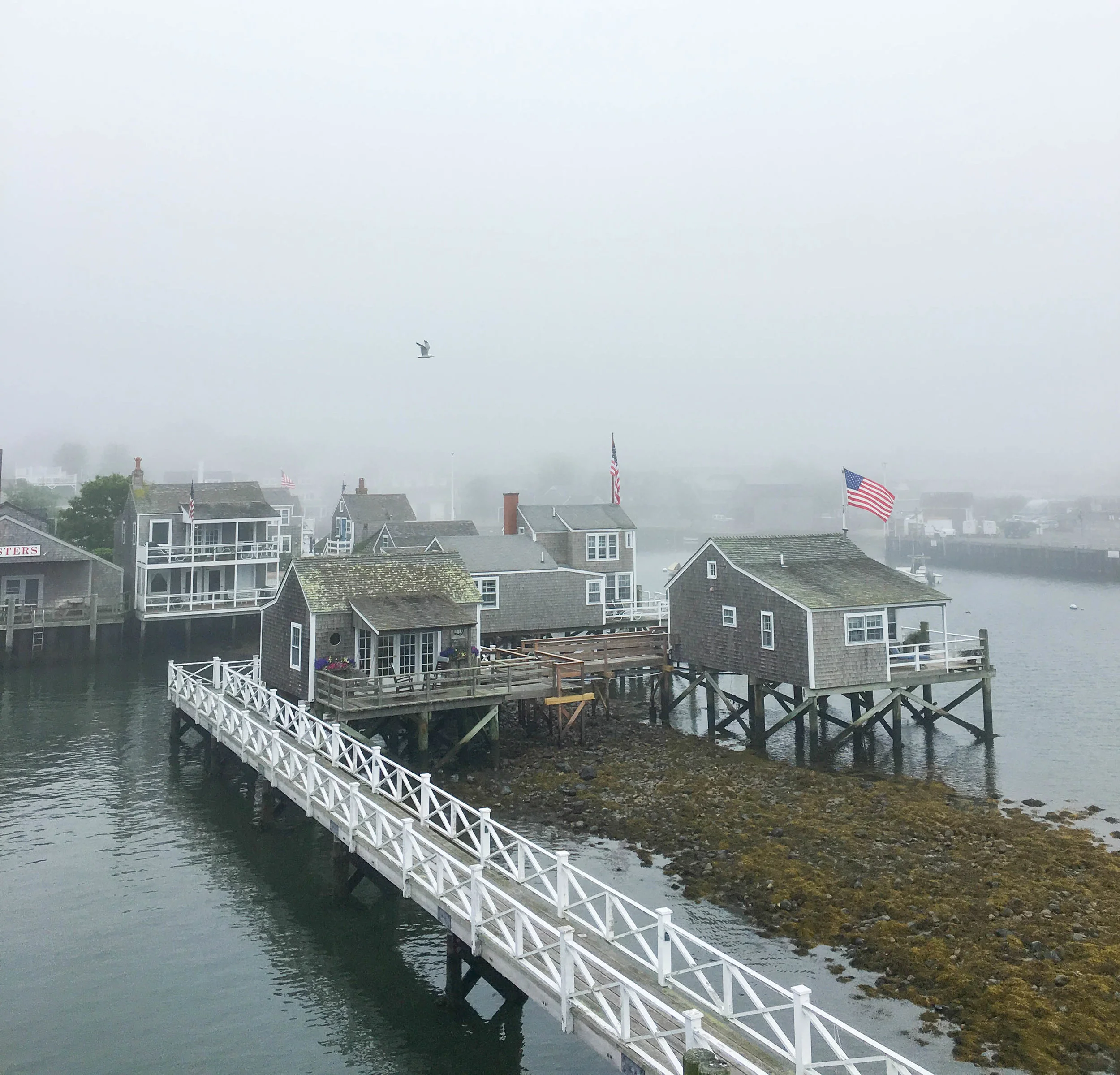 Grey Lady of the Sea