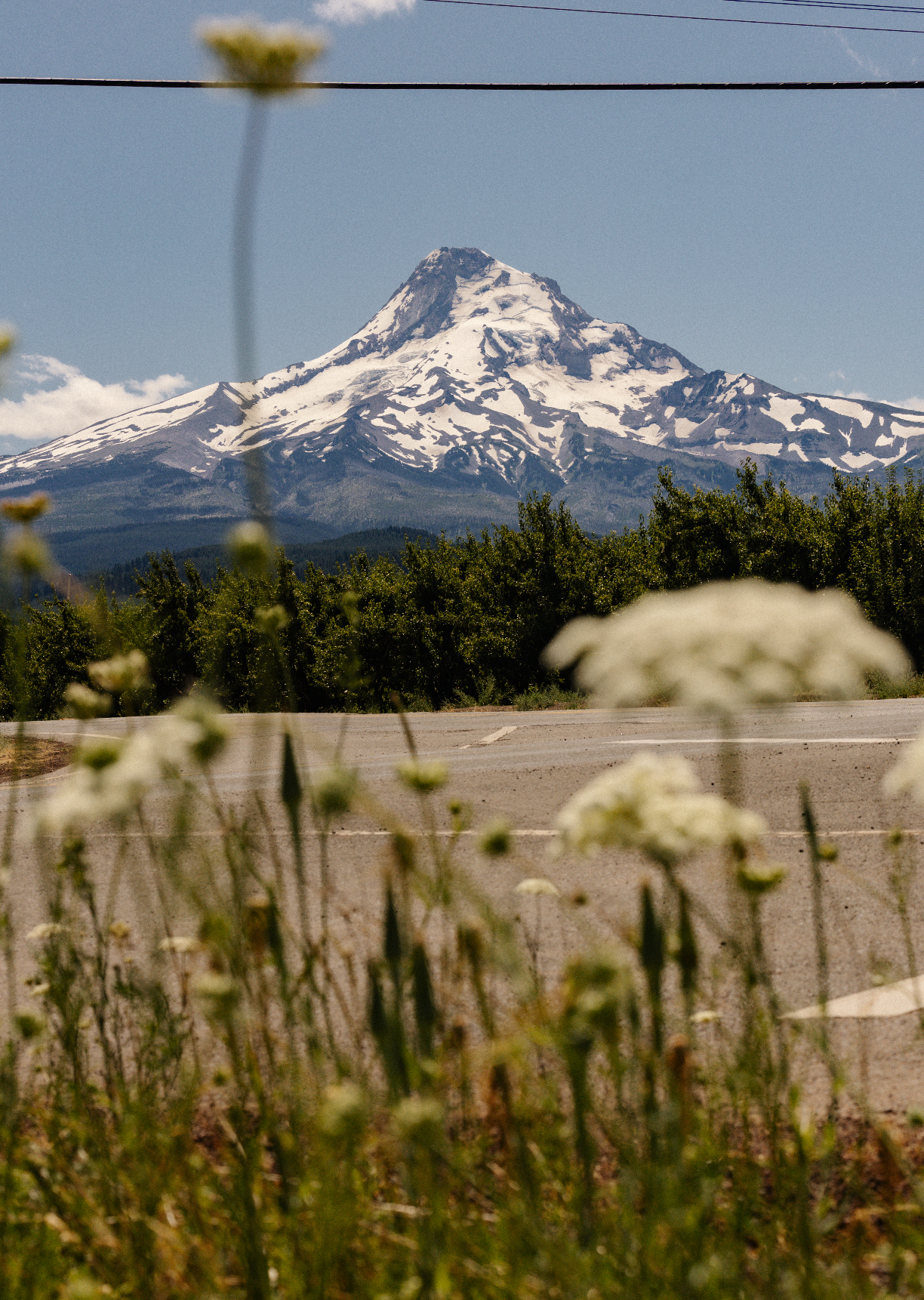 Screenshot 2025-07-22 at 5.59.05 PM.png