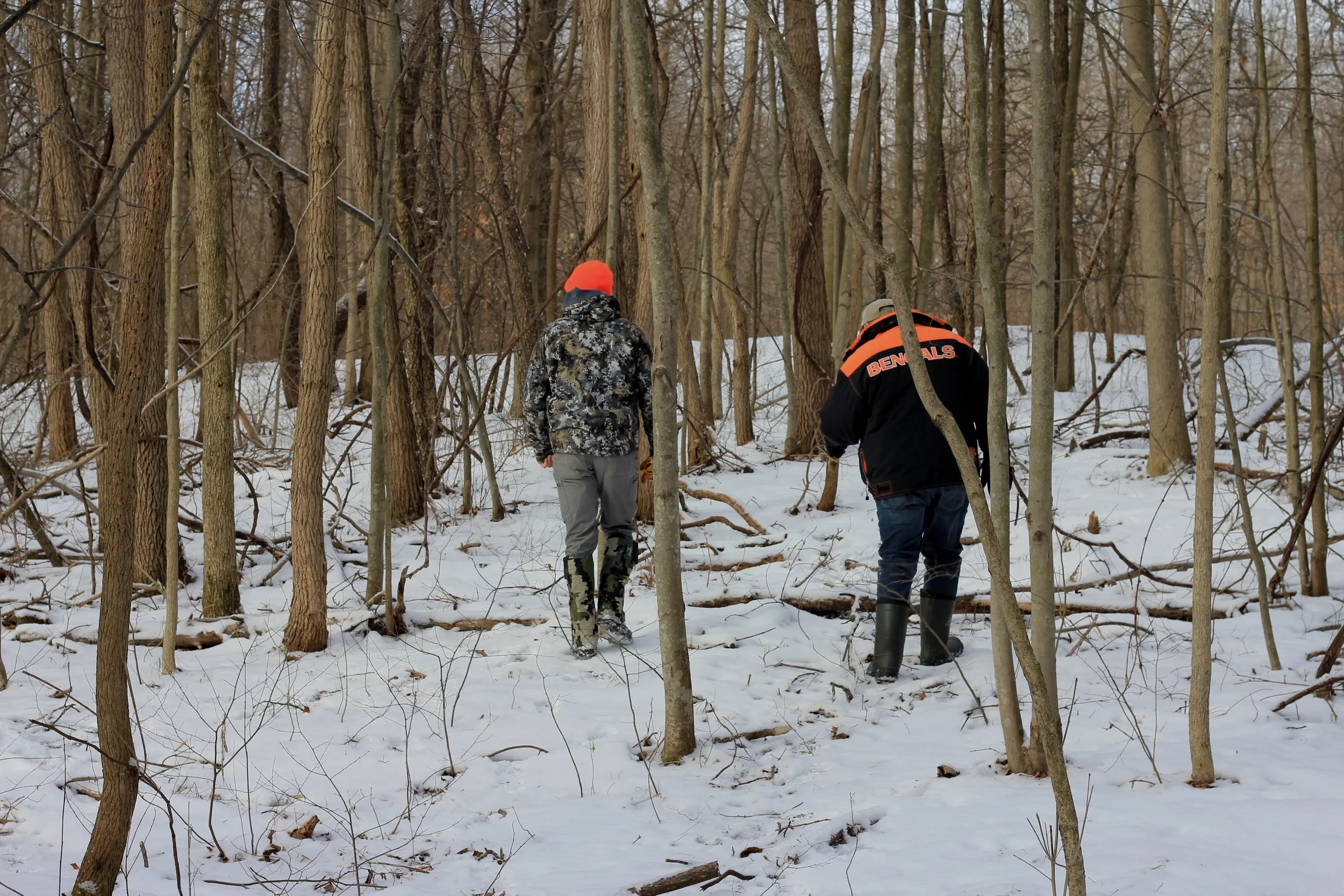 Virtual Forest Consultation