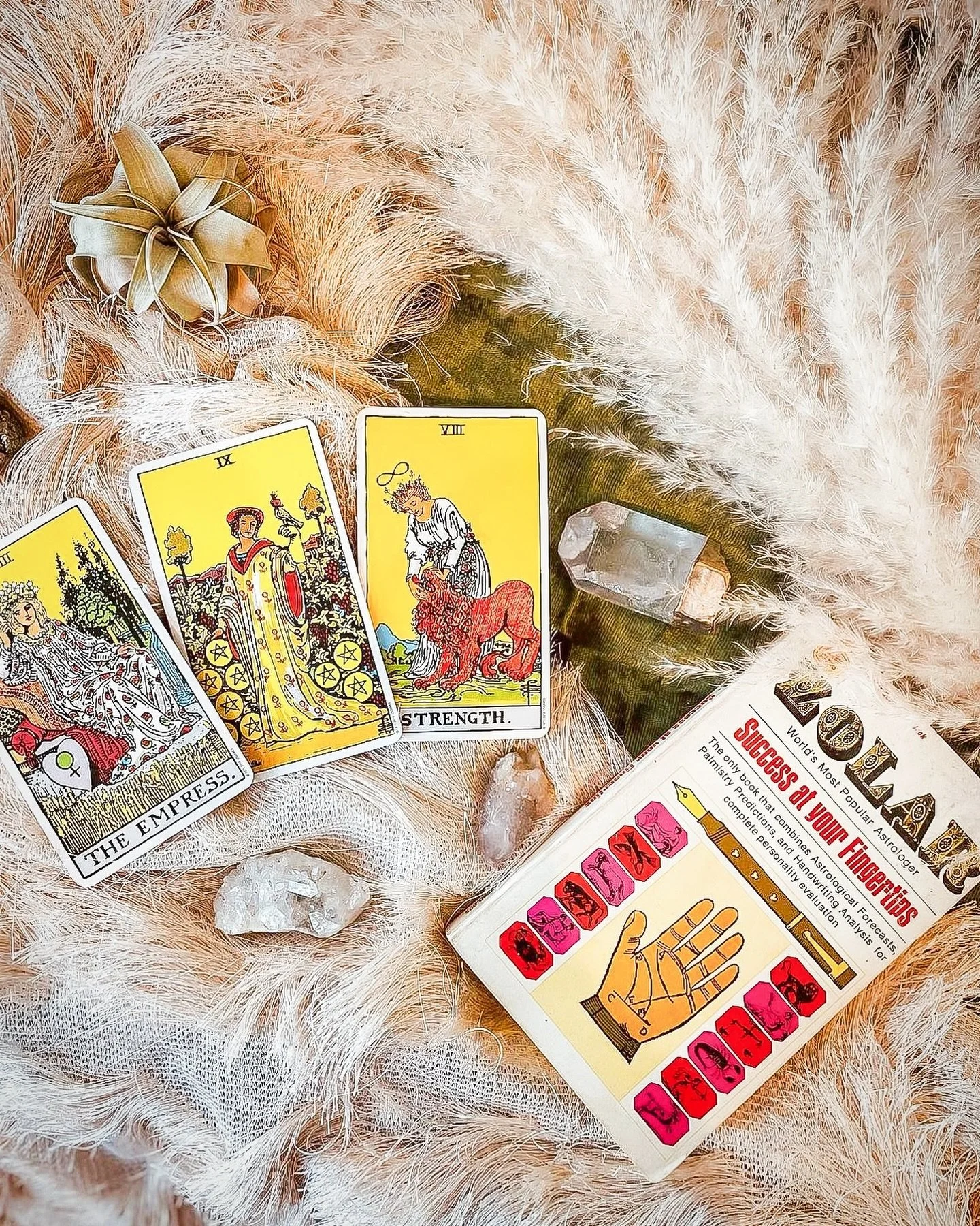 come for the mimosas, stay for a tarot reading🎴🌙 we&rsquo;re so excited to welcome @melaniegraceg for a tarot card experience at this Sunday&rsquo;s market! on the heels of this weeks Scorpio full moon, it&rsquo;s a perfect time to see what&rsquo;s
