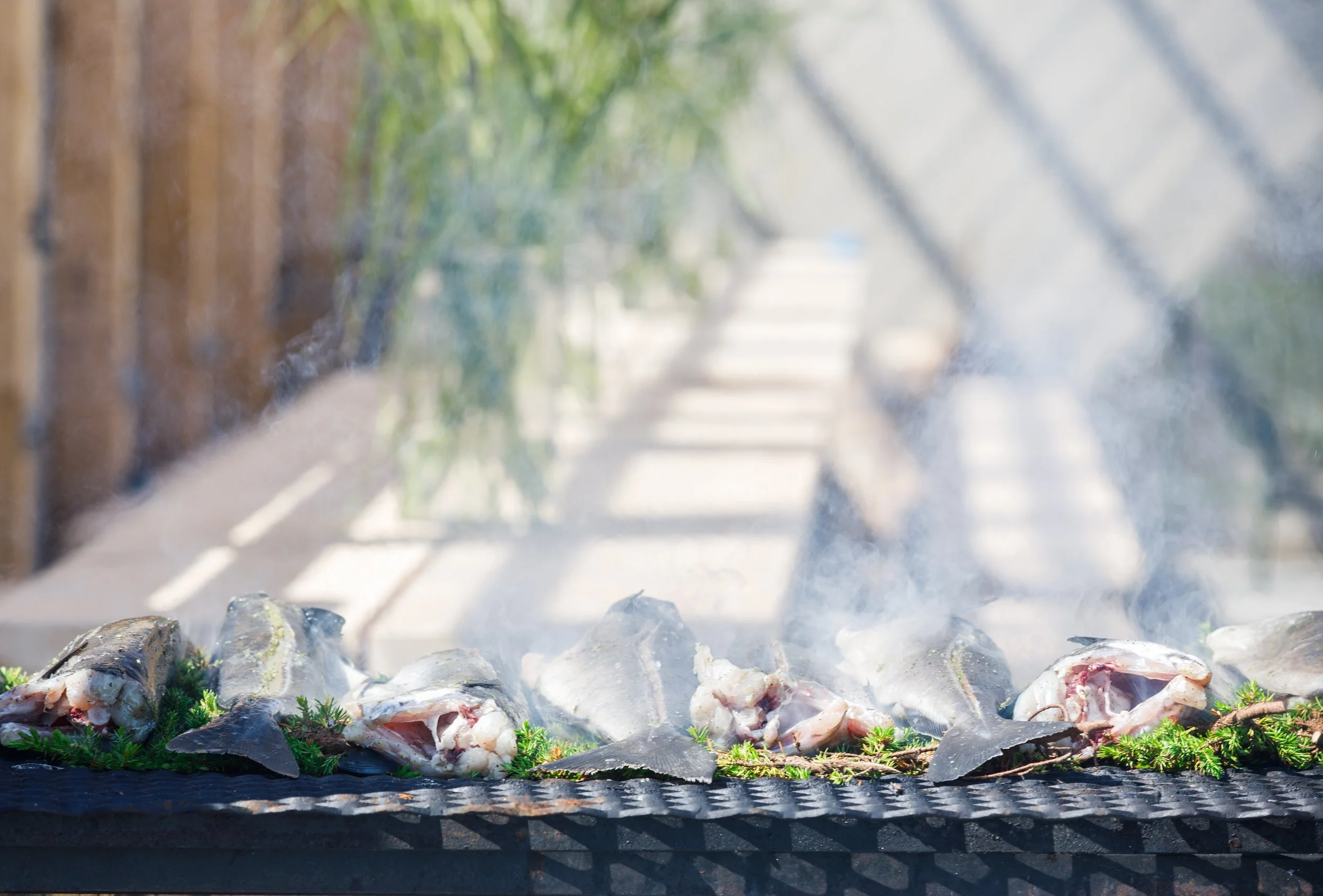 Foto Kathrine Sørgård 1001rom.no-83121304A8312.jpg