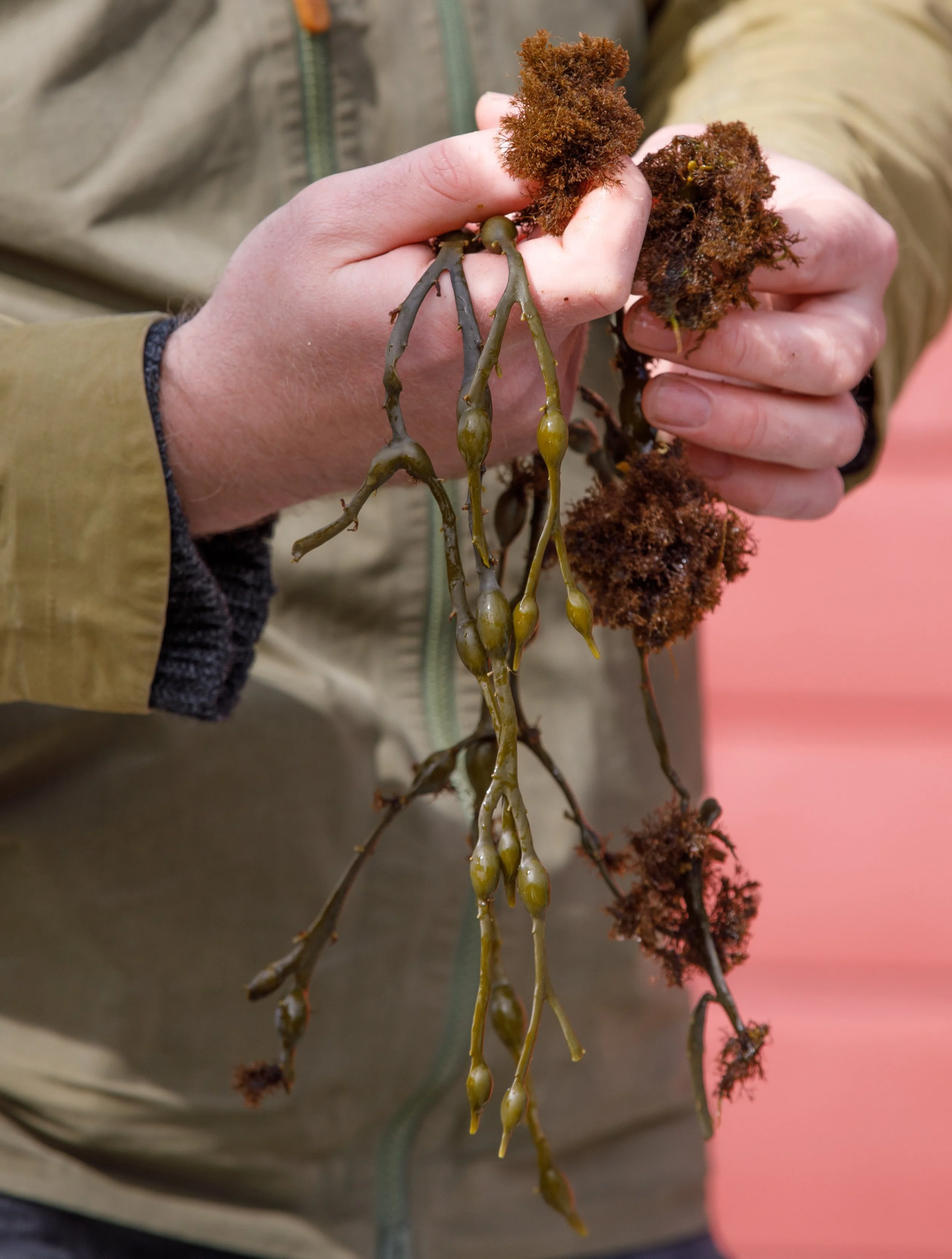 Foto Kathrine Sørgård 1001rom.no-90041304A9004.jpg