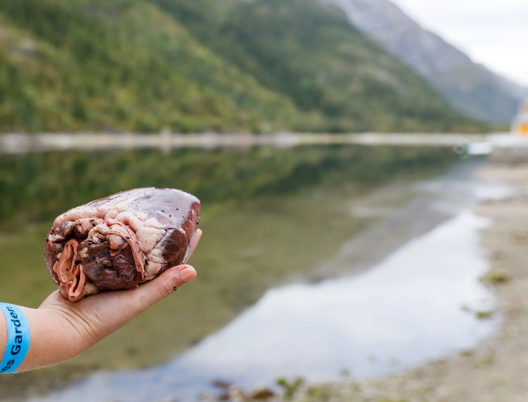 Foto Kathrine Sørgård 1001rom.no-19141304A1914.jpg