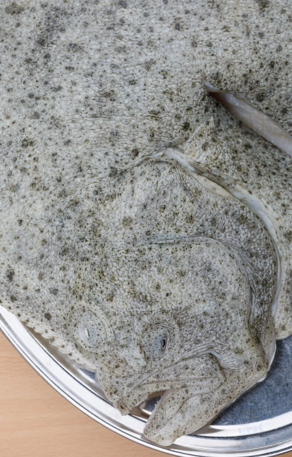 Foto Kathrine Sørgård 1001rom.no-19541304A1954.jpg