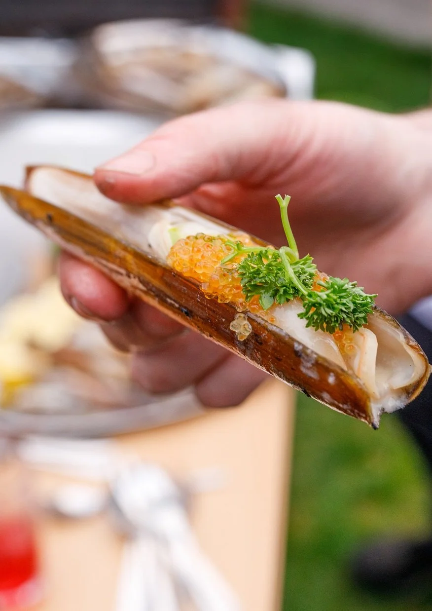 Foto Kathrine Sørgård 1001rom.no-22331304A2233.jpg