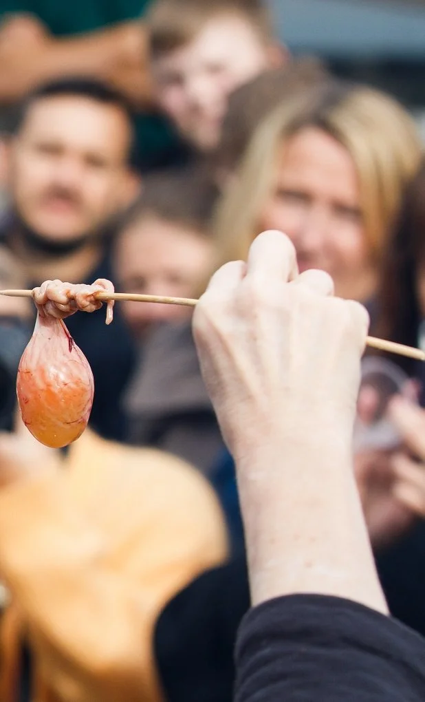 Foto Kathrine Sørgård 1001rom.no-1654.jpg