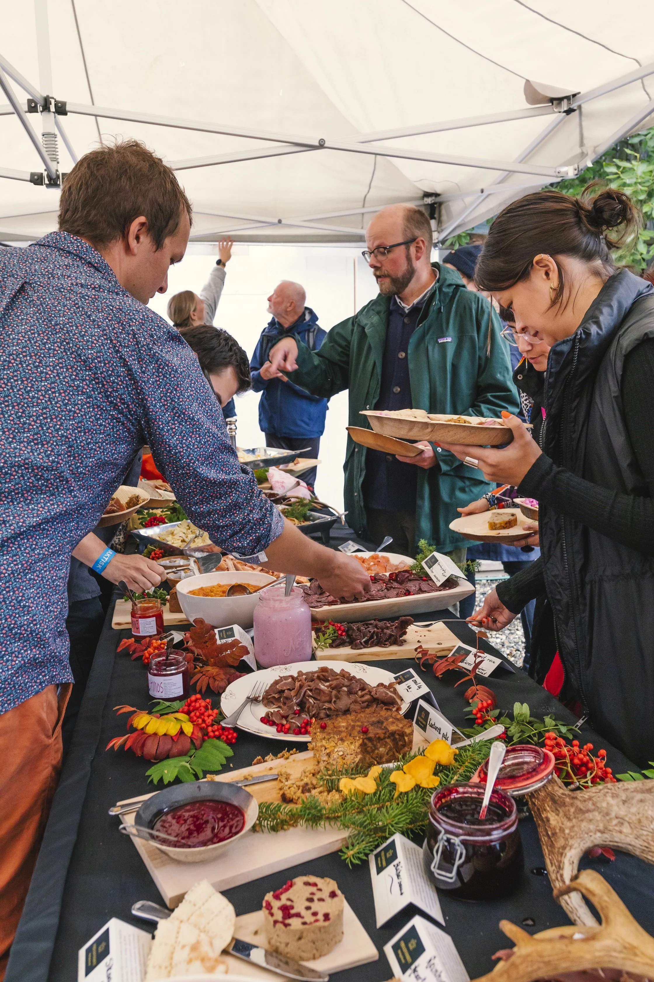 Foto Kathrine Sørgård-2405.jpg