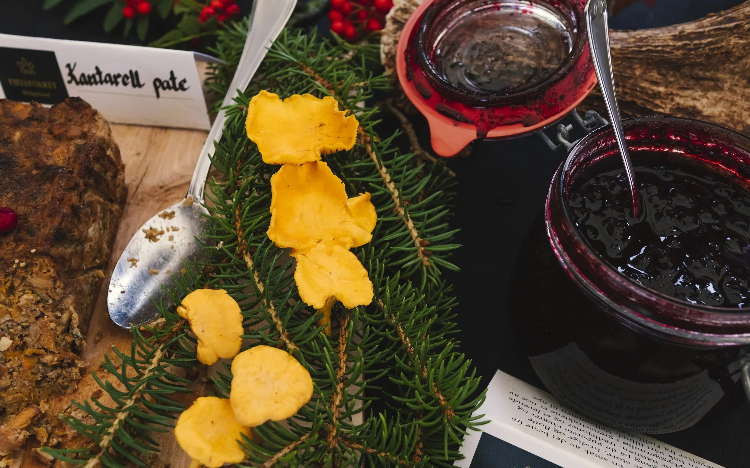 Foto Kathrine Sørgård-2408.jpg