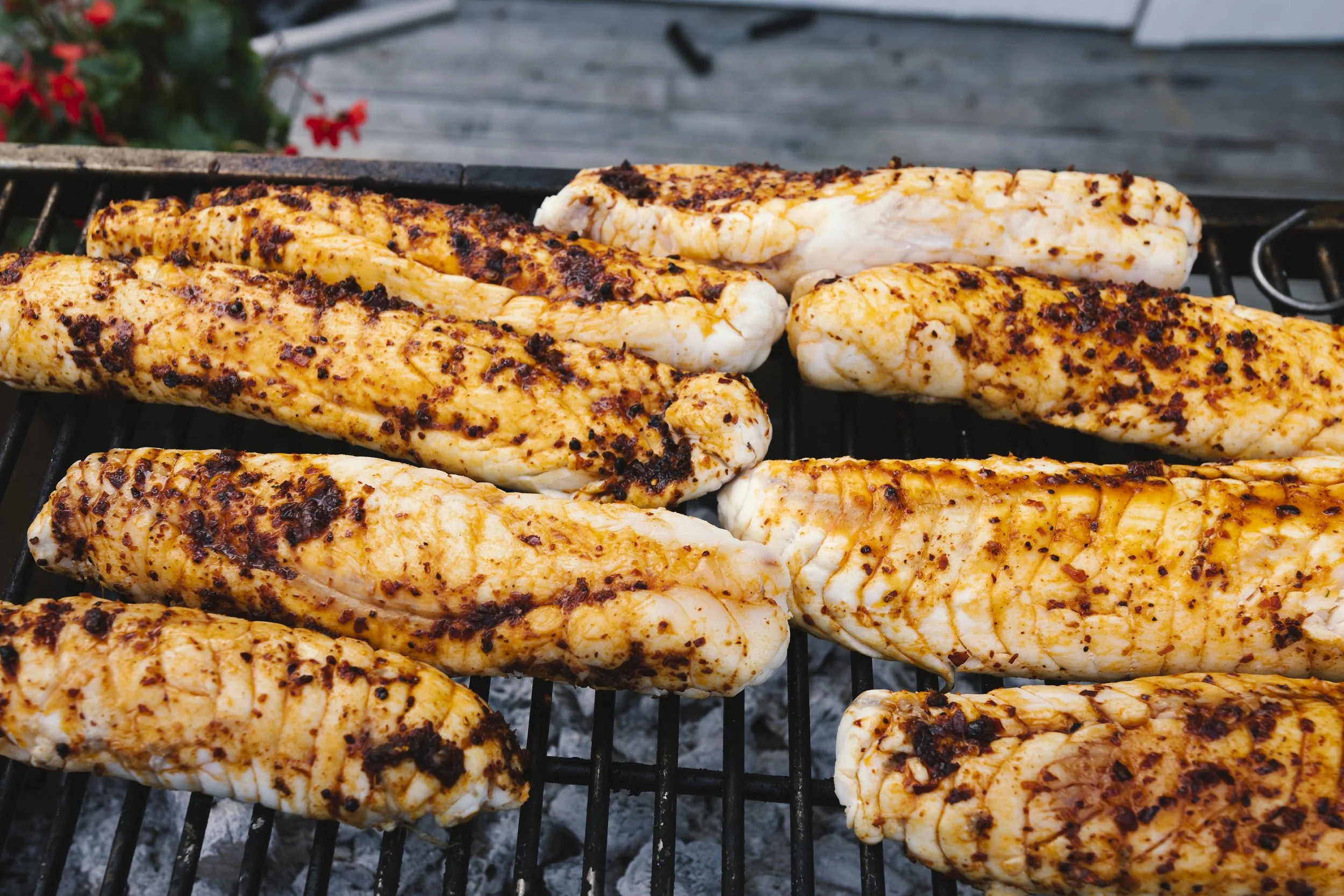 Foto Kathrine Sørgård-2502.jpg