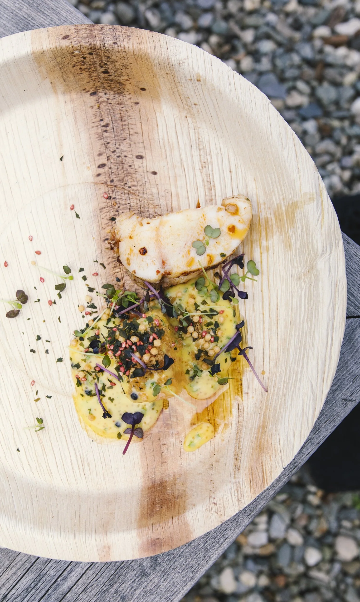 Foto Kathrine Sørgård-2509.jpg