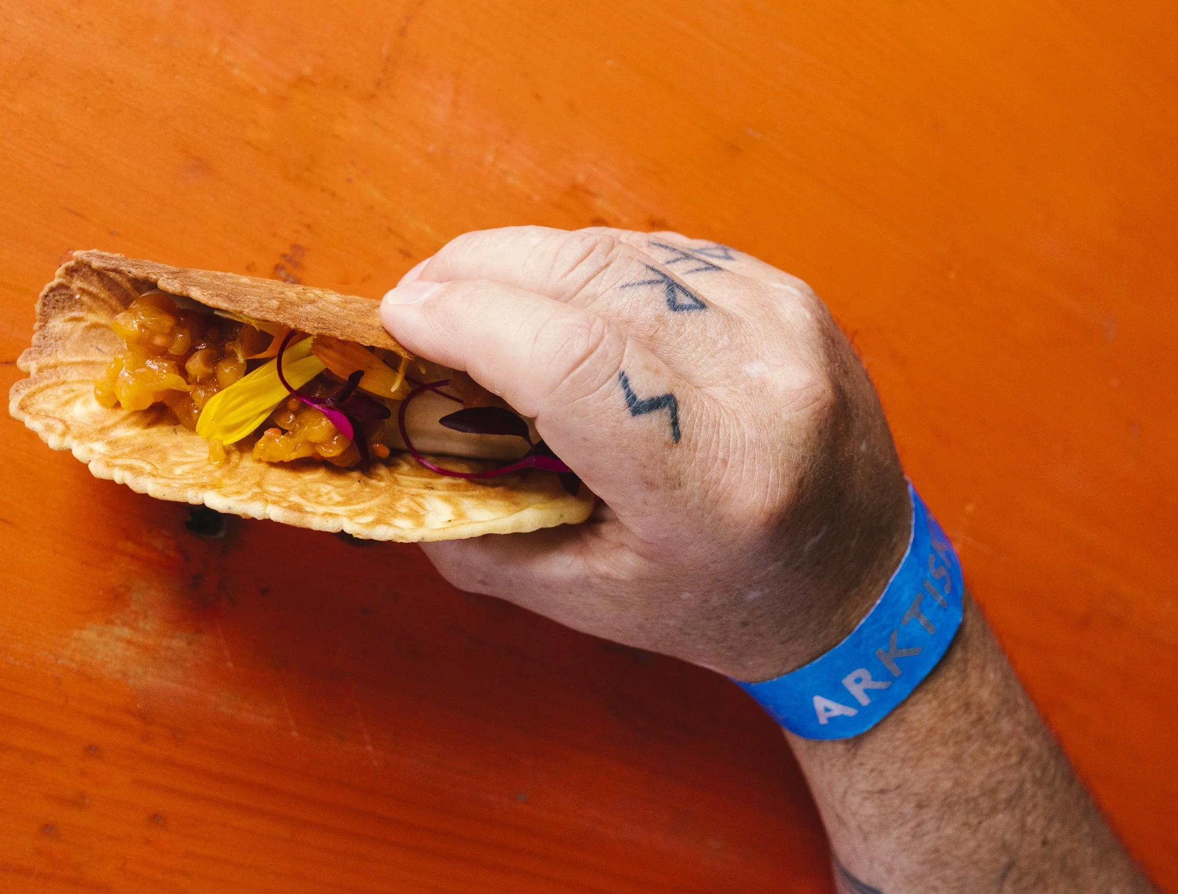 Foto Kathrine Sørgård-2516.jpg