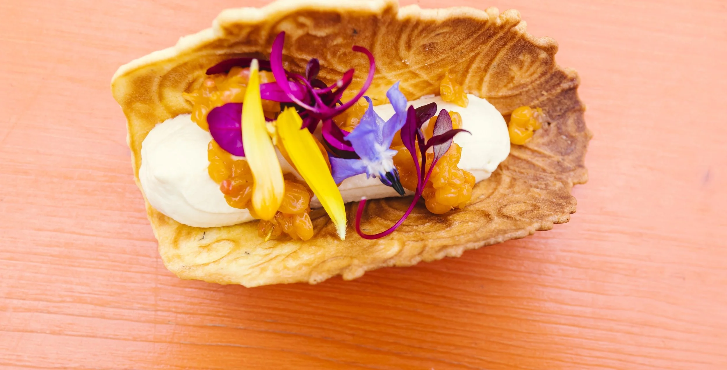 Foto Kathrine Sørgård-2518.jpg