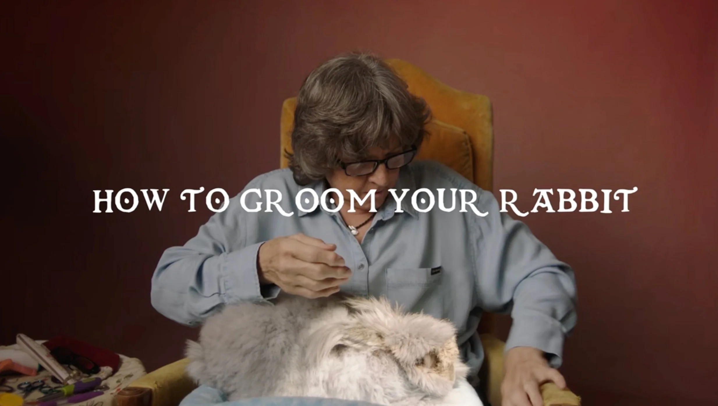 How To Groom Your Rabbit Teaser - Coming Soon