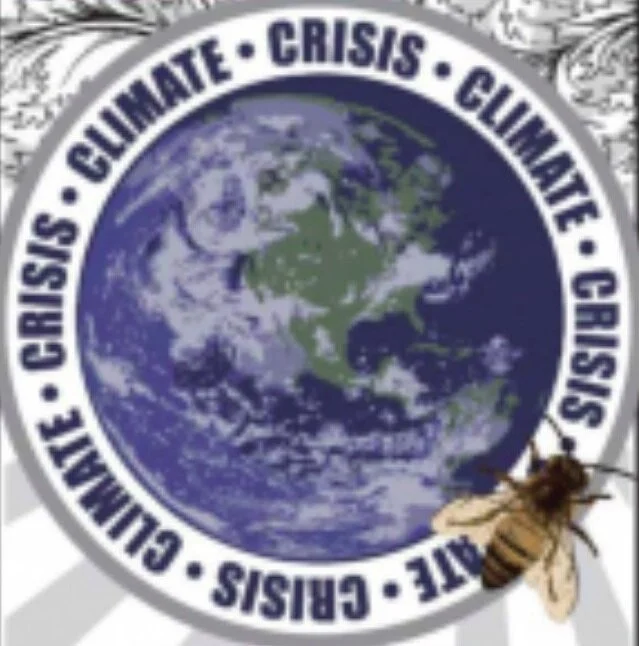 COVID-19 CRISIS 2020