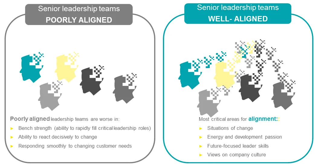 EY - Leadership Alignment graphics | source: ey.com